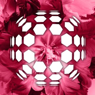 Логотип @aurora_official_aurora - AURORA - мы делаем мир красивым!