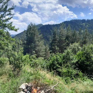 Логотип @autarkiebulgarien - Autarkie 🍏🍅🥬 in Bulgarien 🏔🐶🐱