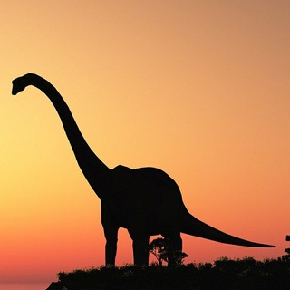 Логотип @authorq - Скидкозавр на вайлберис