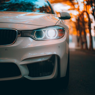 Логотип @auto_if - Auto_IF