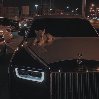 Логотип @auto_prikol - Автокодекс