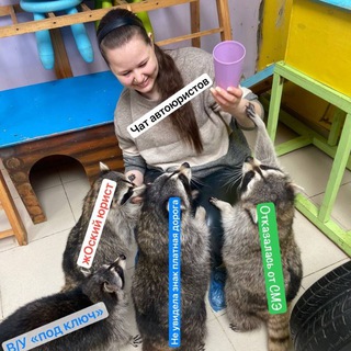 Логотип @autolawyer_mishgun_chat - Чат АвтоЮриста :)