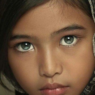 Логотип @av5dres - Sólo para tus OJOS. Ideas y soluciones naturales👁👁