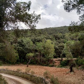 Логотип @av5raul - Sólo CANCER. Ideas y otros puntos de vista alternativos.