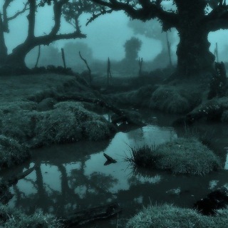 Логотип @avakinlfeshop - ׅ 𝐚𝐯𝐚𝐤𝐢𝐧 𝐬𝐡𝐨𝐩 ׄ