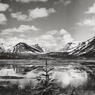 Логотип @avalanche_hibiny - Avalanche_Hibiny