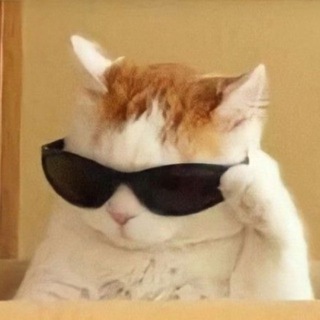 Логотип @avamemy - МЕМНЫЕ АВАТАРКИ