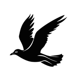 Логотип @avandrug - АВАНДРАГ | интернет-журнал