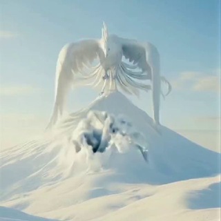 Логотип @avayekoorosh - avayekoorosh