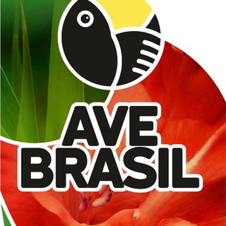 Логотип @avebrasil - AveBrasil - Бразильские сериалы на русском