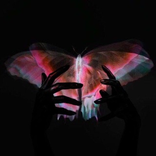 Логотип @avedanse - ночное солнце