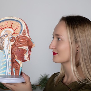 Логотип @avesstudybook - AVESSTUDY|Кинезиотерапия|Реабилитация| Для специалистов| Для тела| Для жизни| Обучение