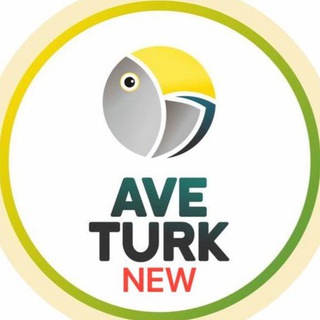 Логотип @aveturktv - AveTurk / Основание Осман все серии
