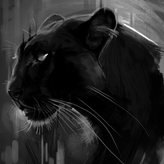 Логотип @avgona_muz - 𝗮𝘃𝗴𝗼𝗻𝗮 𝗺𝘂𝘇 🇦🇫