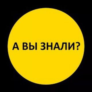Логотип @avi_znali_chto - Взрывные факты