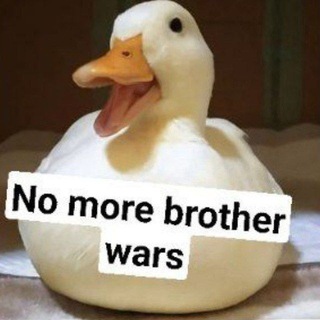 Логотип @avianbrotherhood - 🦆 Avian Brotherhood 🦆