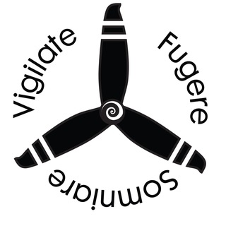 Логотип @aviatica - AviaticA