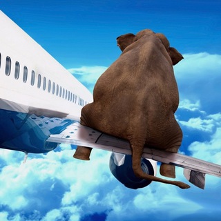 Логотип @aviationtech - Авиация, как это работает❓ 🛫