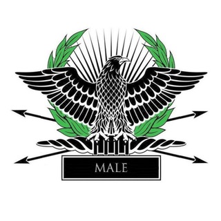 Логотип @aviva_md - Мужское Движение