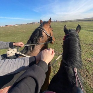 Логотип @avror1s5 - avror1s