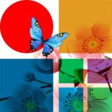 Логотип @avstreamchat - AVStream