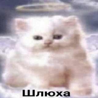 Логотип @avtorsdoxx - avtorsdoxx