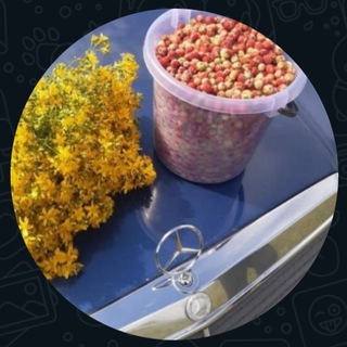 Логотип @avtorynok102 - Авторынок Башкортостана