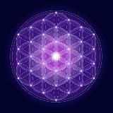 Логотип @awakenedspecies - The Awakened Species ☀️