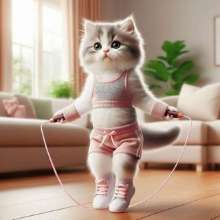 Логотип @awawawawawseh - Кошка про похудение