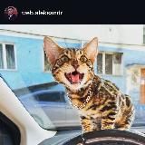 Логотип @awmgang - Рез копия