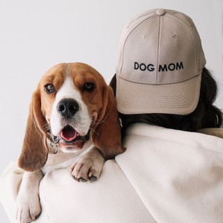 Логотип @axel_beagle - axel.beagle