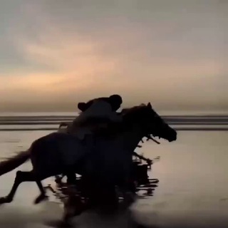 Логотип @axii_muslim - Axii