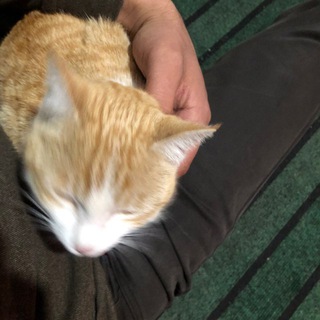 Логотип @axxueniy_soxxxr - ❮꯭❘꯭꯭꯭꯭🇹🇷꯭꯭꯭❘꯭꯭꯭𝐀𝆹꯭𝅥𝐗꯭꯭𝆹꯭𝅥𝐗𝆹꯭𝅥𝐔𝆹꯭꯭𝅥𝐄𝆹꯭𝅥𝐍𝆹꯭𝅥𝐈𝆹꯭𝅥𝐘❰꯭꯭꯭꯭🍷꯭꯭꯭꯭❱꯭꯭꯭꯭꯭꯭꯭꯭꯭꯭𝐒𝆹꯭꯭꯭꯭𝅥𝐎𝆹꯭꯭𝅥𝐗꯭꯭𝆹꯭꯭𝅥𝐗𝆹꯭꯭𝅥𝐑𝆹꯭꯭𝅥🇹🇷꯭꯭꯭❘꯭꯭➣꯭꯭