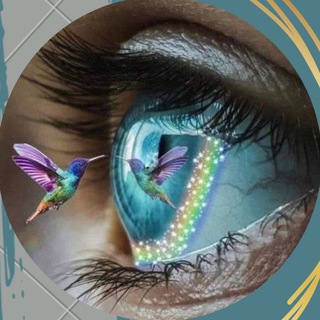 Логотип @ayahuascahelp - Ayahuasca help