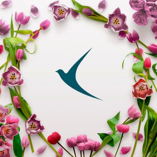 Логотип @ayollarga_komak - Ayol-qizlarga ma'naviy ko'mak