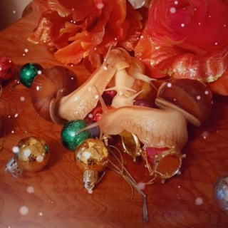 Логотип @ayollaruchunulitkoterapiya - Улиткотерапия 🐌