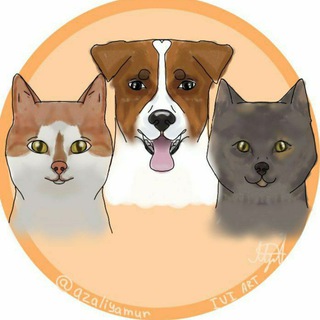 Логотип @azalia021470 - 🧊ВДБ🧊