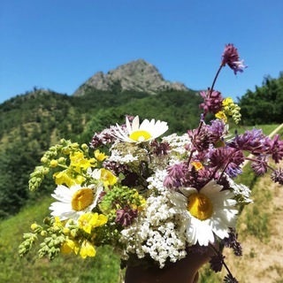 Логотип @azecomru - Азербайджанология.