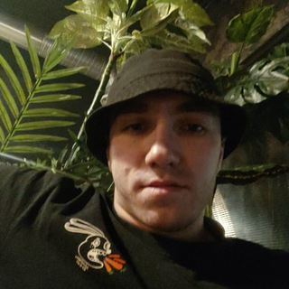Логотип @b0rnlion - Я ДРАМ'Н БЕЙС ПРОДЮСЕР 🧉