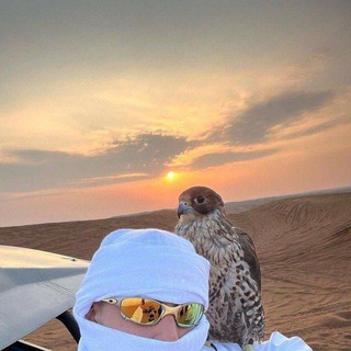 Логотип @b449ss - #𝑆𝐴𝑅𝑃