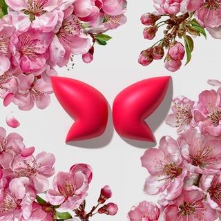 Логотип @babochkavvo - BABOCHKAVL