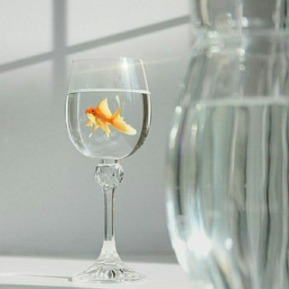 Логотип @baby_teamo - 𝓑𝓪𝓫𝔂 𝓽𝓮 𝓪𝓶𝓸