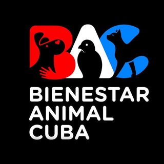 Логотип @bac_org - BACANOS INFORMA ℹ️