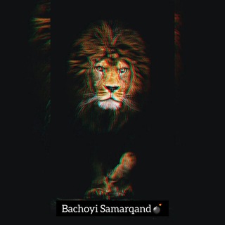 Логотип @bachoyi_samarkand - Bachoyi Samarqand💣