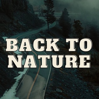 Логотип @back_na - Back to nature