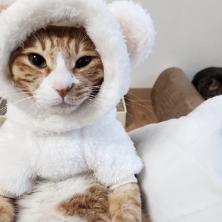 Логотип @backdoor_riru - получено в рф🫶🏻