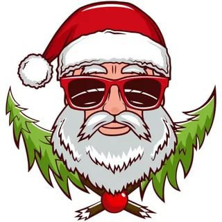 Логотип @bad_santa2020 - Bad Santa DPR