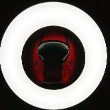 Логотип @badboysbdsm - DOGS & BAD BOYS BDSM 18+