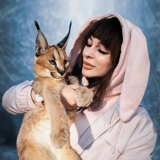 Логотип @badcatpage - BadCat