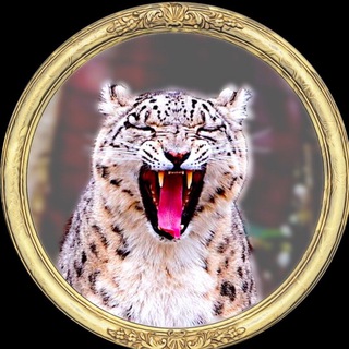 Логотип @badeganorules - Badega No Rules